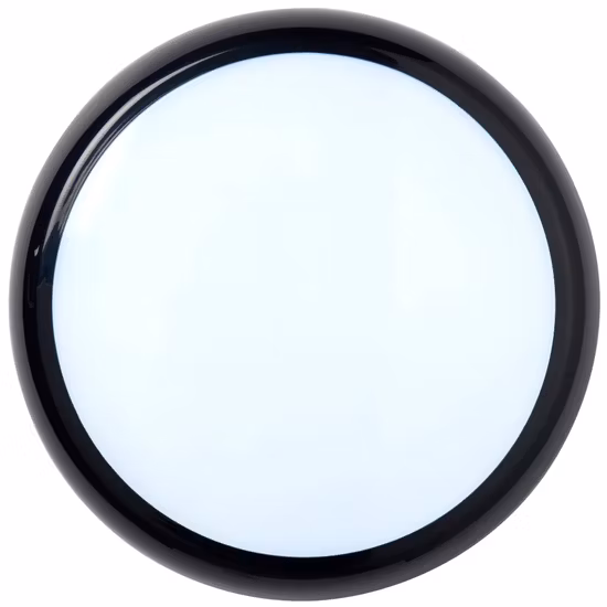 LED Oval Round Bulkhead Wall Light Ceiling Light